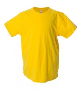 T-Shirt uomo girocollo 100% cotone| Publigest snc
