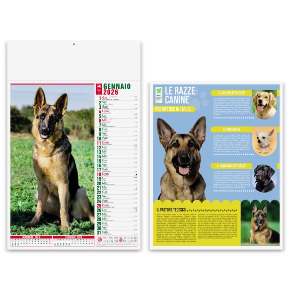Calendario olandese PA640| Publigest snc