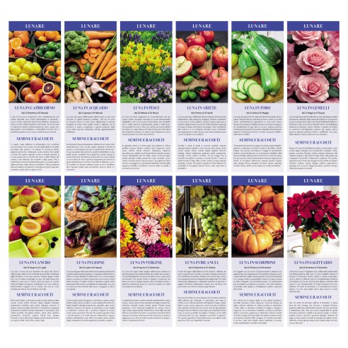 Calendario olandese PA640| Publigest snc