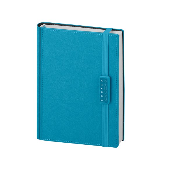 Agenda Giornaliera