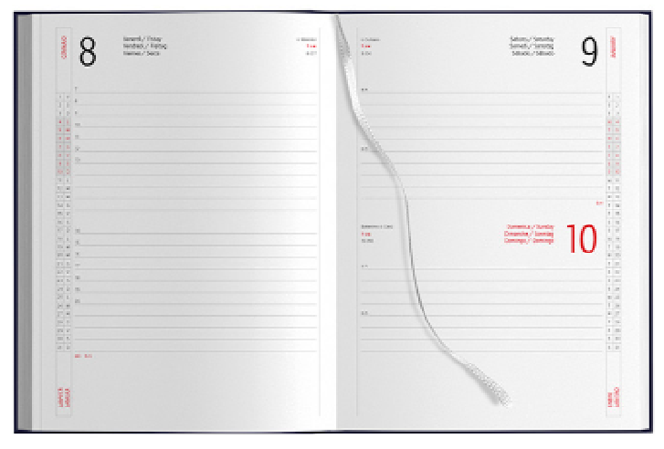 Agenda giornaliera PB530 | Publigest snc