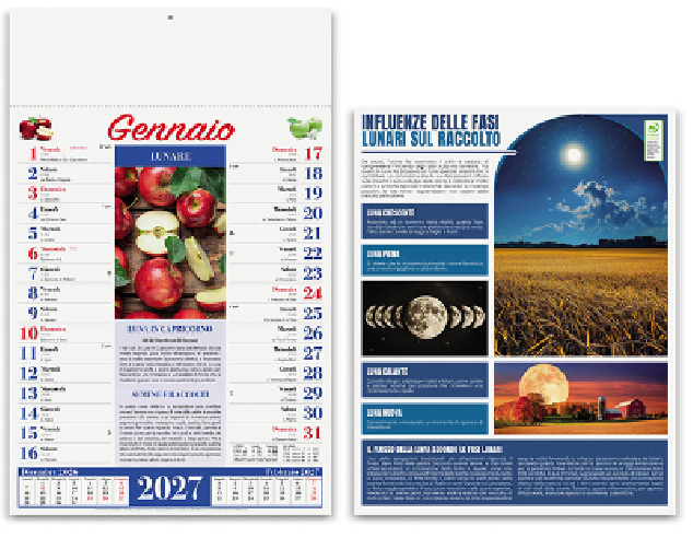 Calendario olandese PA640| Publigest snc