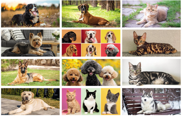 Calendario Cani e Gatti PA403 | Publigest snc