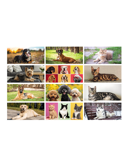 Calendario Cani e Gatti PA403 | Publigest snc